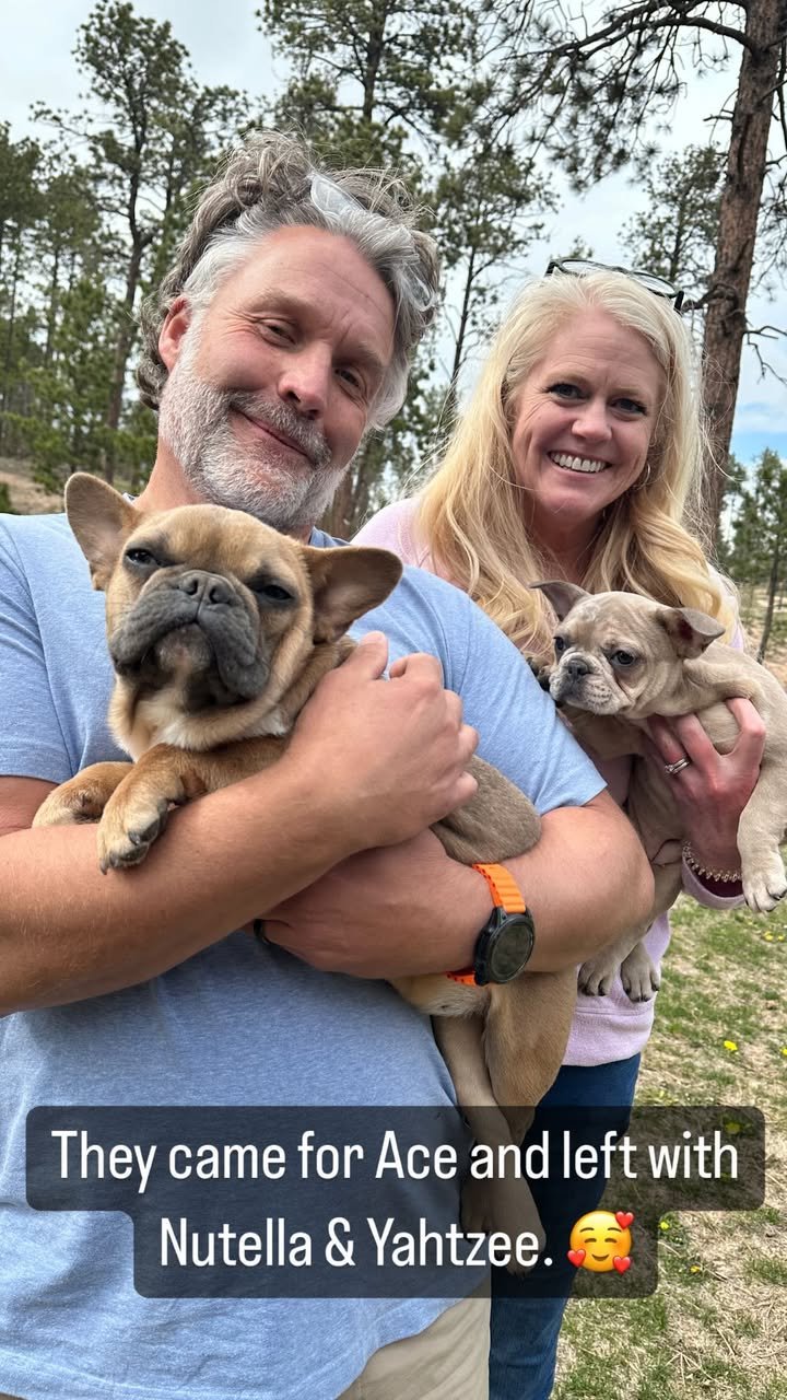 amanda frenchies (13)