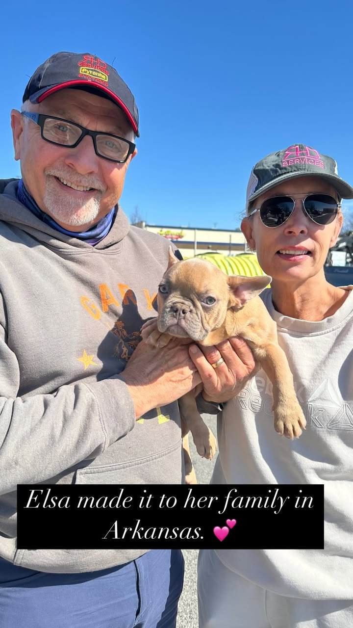 amanda frenchies (21)