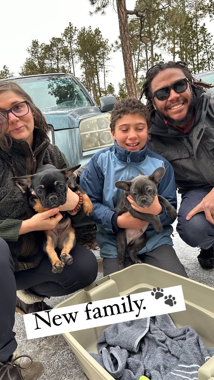 amanda frenchies (4)